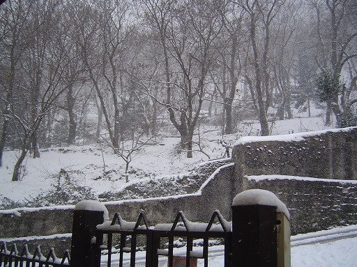 Nevicata 31 12 2014 A