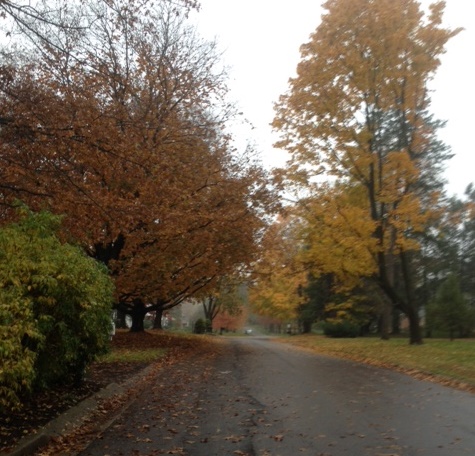 Norristown autunno-10