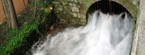 Acqua