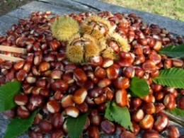 Castagne_Montella