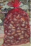 Castagne in Rete