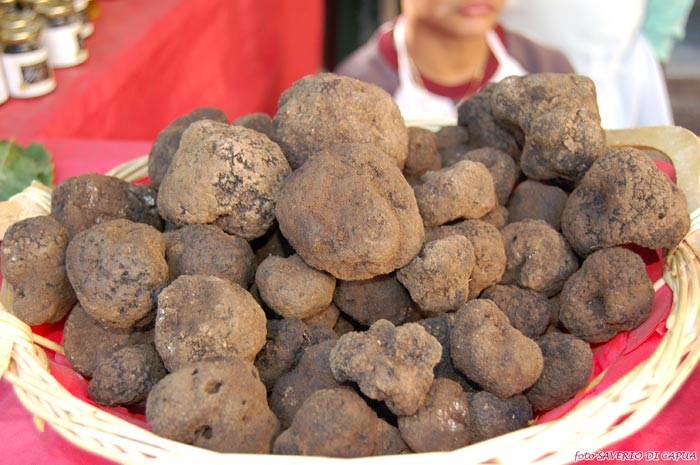 Tartufo