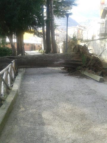 Villa Piante-01