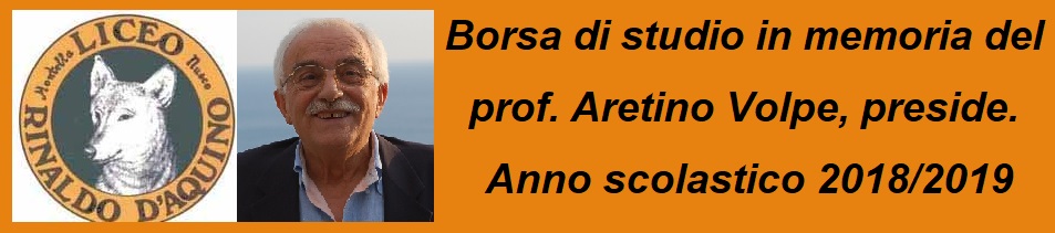 Borsa studio Volpe A