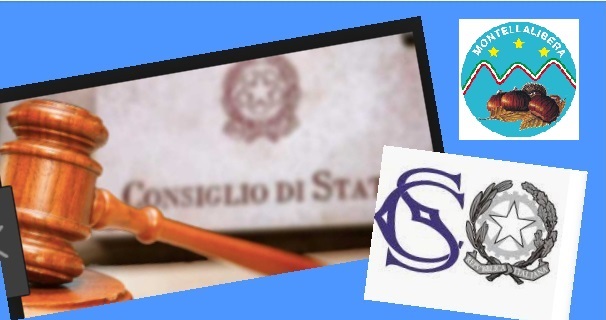 Consiglio di Stato 01