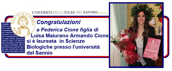 CIONE LAUREA 07