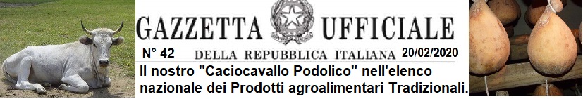 PODOLICA ORIZZ 02