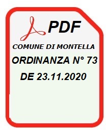 2020 11 23 ORDINANZA n 73 B