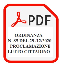 2020 12 29 Ordinanza 85