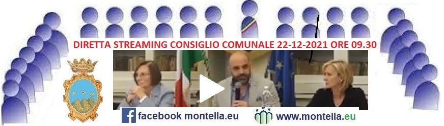 2021 1222 Consiglio Comunale 4