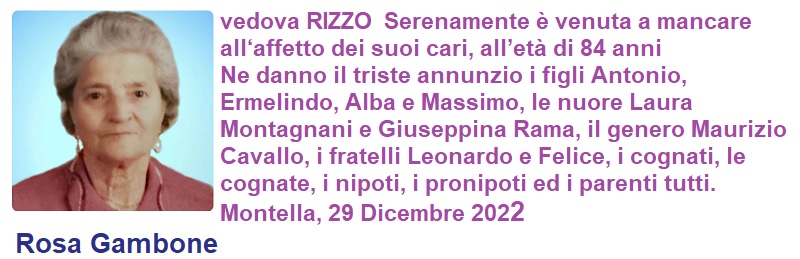 2022 12 29 Rosa Gamboner