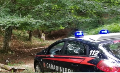 carabinieri boschi di montella 