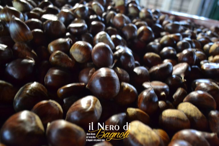 Sagra tartufo nero Bagnoli Irpino Ph Pro Loco Bagnoli Irpino Laceno 6 768x512