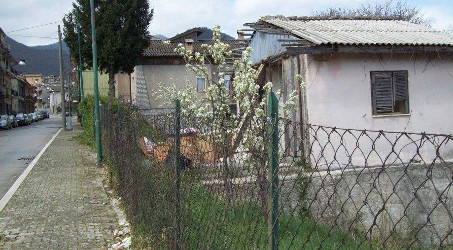 Bomba ecologica-04