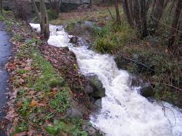 Torrente in piena