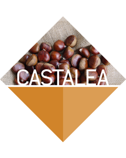 CASTALE LOGO