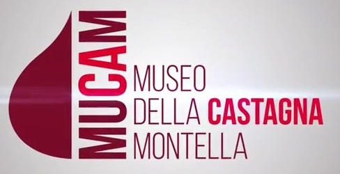 Museo Castagna logo