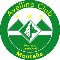 Avellino_Club-Logo