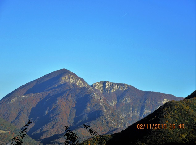 Crinalemonte acellica 03