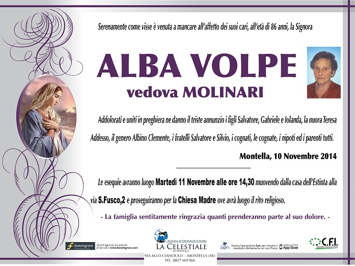 10-11-2014-VOLPE ALBA