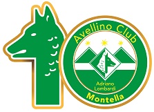 logo 10anni avellino club