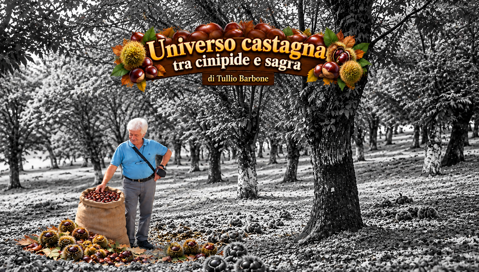 Universo Castagne Montella 001 E