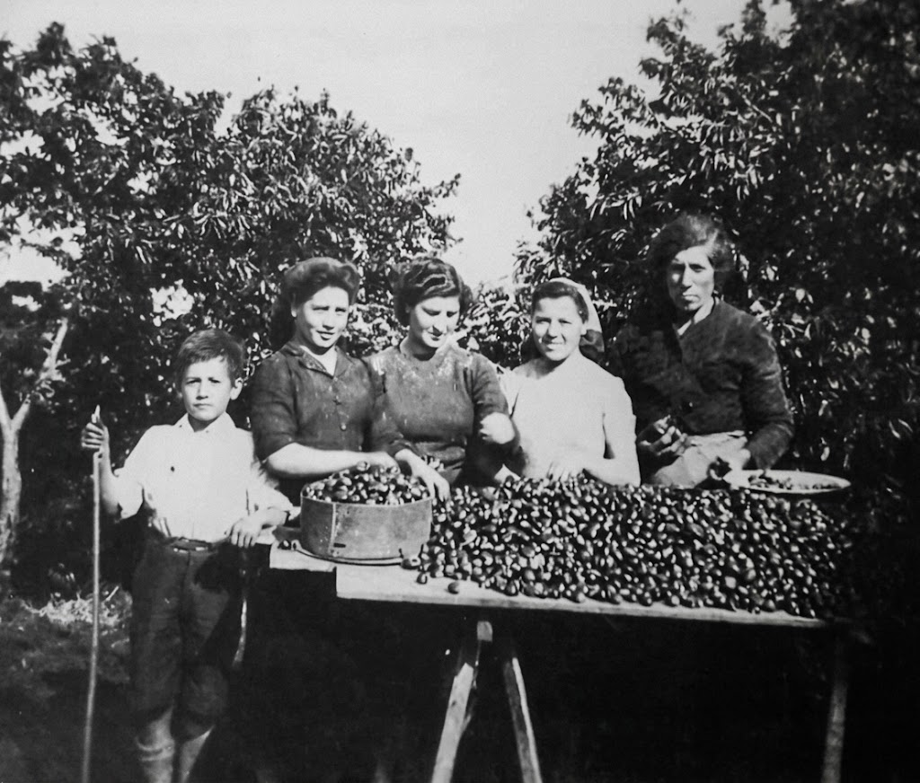 Universo Castagne Montella 004