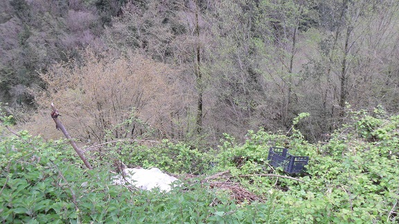 Cittadino incazzato-Aprile-2014-2