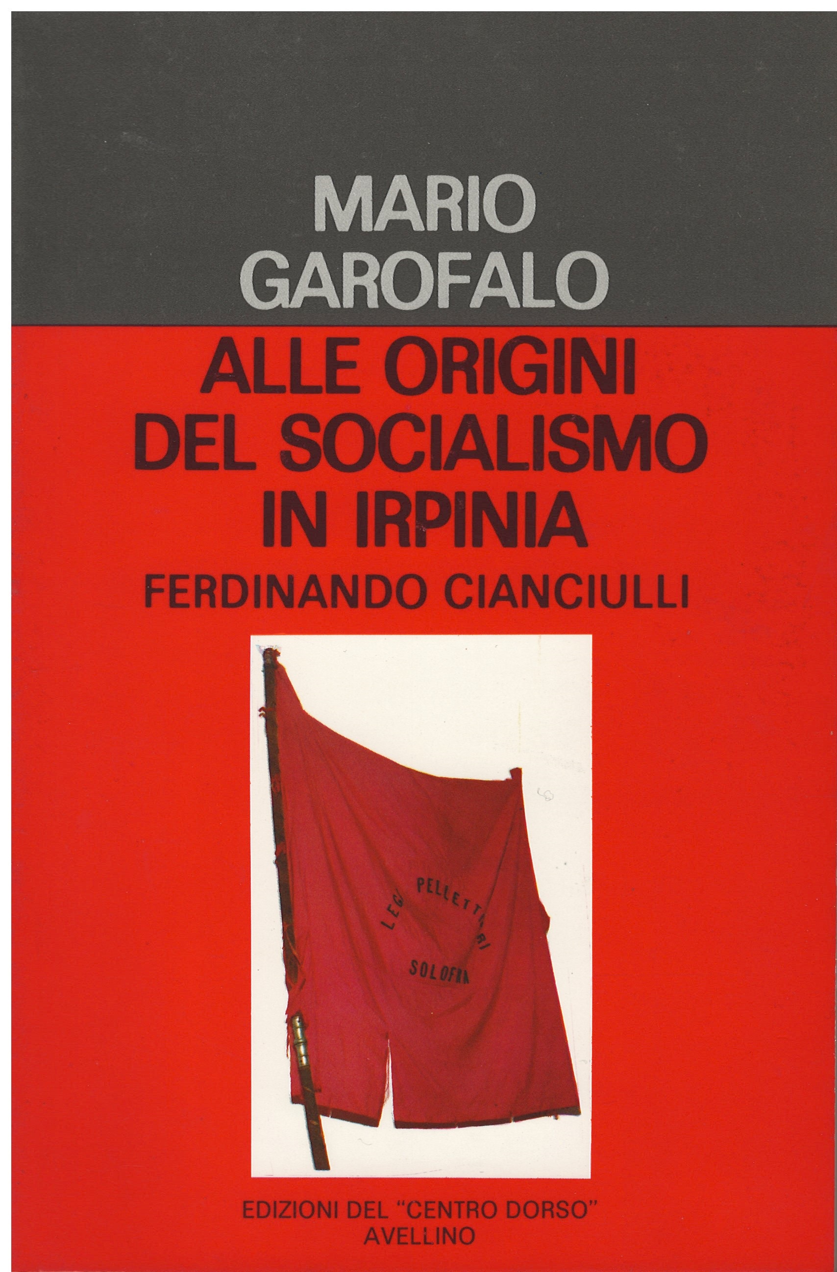 Alleorigini del socialismo in irpinia