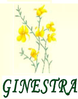 Ginestra logo