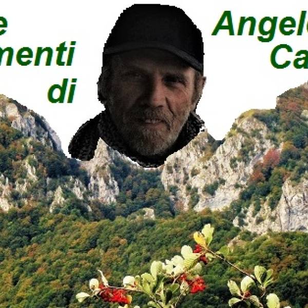 Foto e Commenti di Angelo Capone